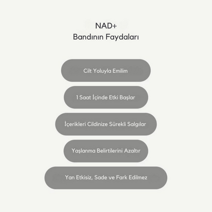 NAD+ Bandı